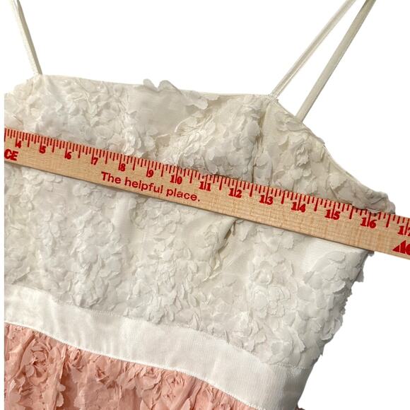 Adrianna Papell 6 Strapless Floral Applique Gown $489 Corset Dress Pink White - Picture 10 of 16